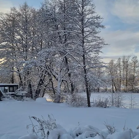 Шале Kivikoski *
