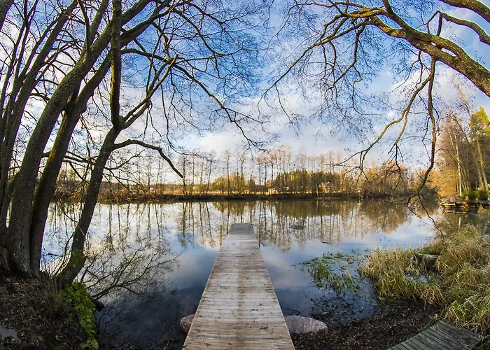 Kivikoski Dağ evi *